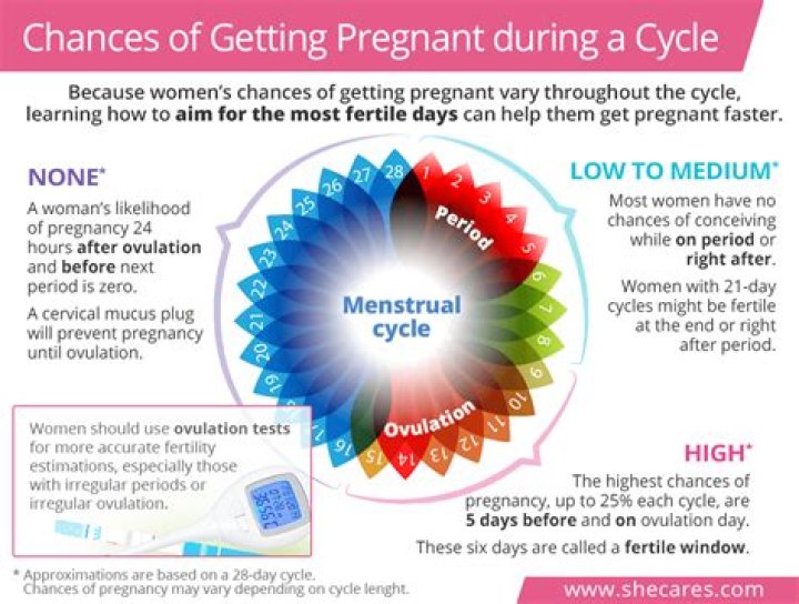 Can I get pregnant the day before my period?
