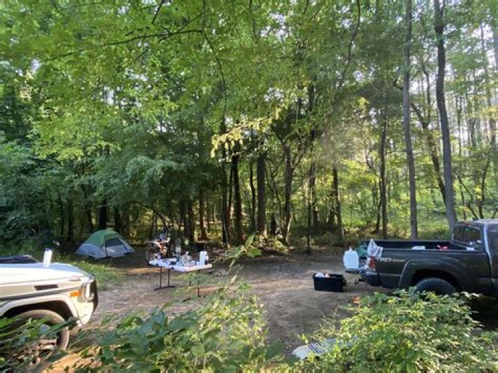 Can you camp for free in Uwharrie National Forest?