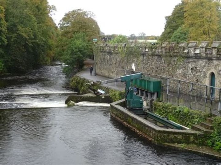Can you canoe the Tavistock canal?