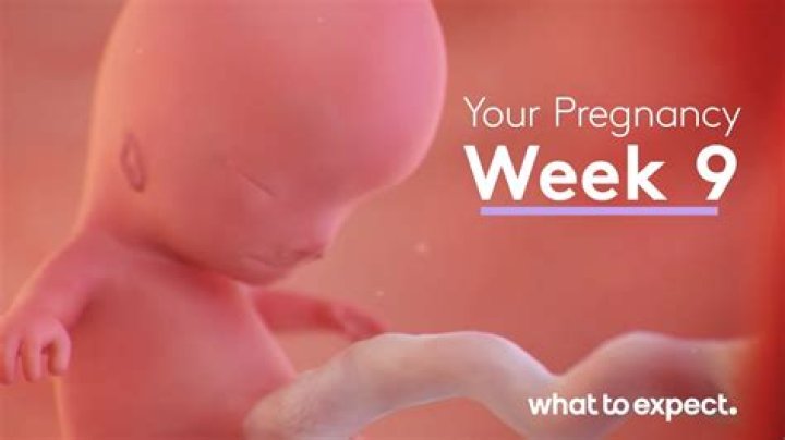 Can you show at 9 weeks with first pregnancy?