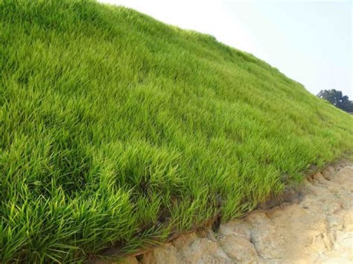 Does artificial grass prevent erosion?