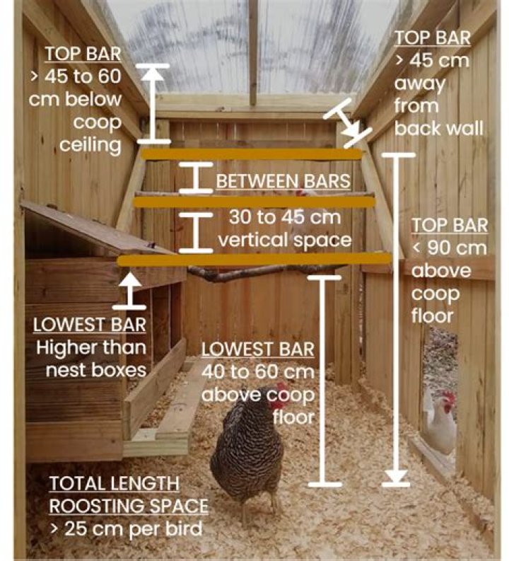 How can I get $1000 a month with 15 chickens?