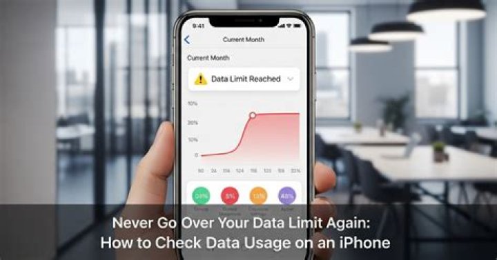 How can I monitor data usage on my iPad?