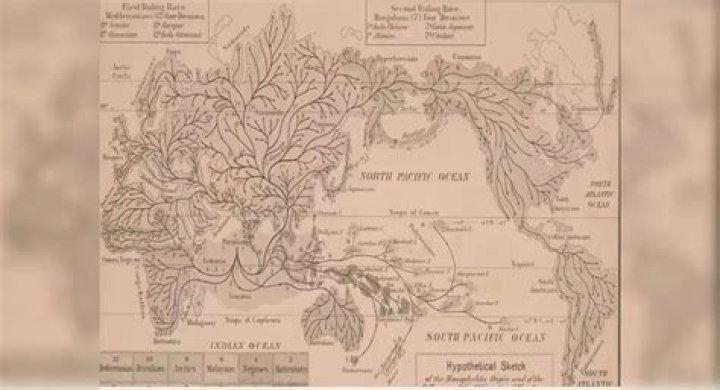 How did Lemuria sink?
