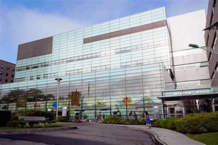 How do I contact PALS at Queens hospital?