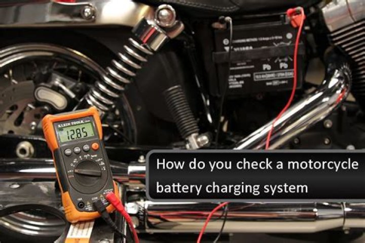 How do you check Bisep results?
