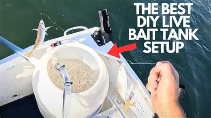 How do you keep bait alive in a bait tank?