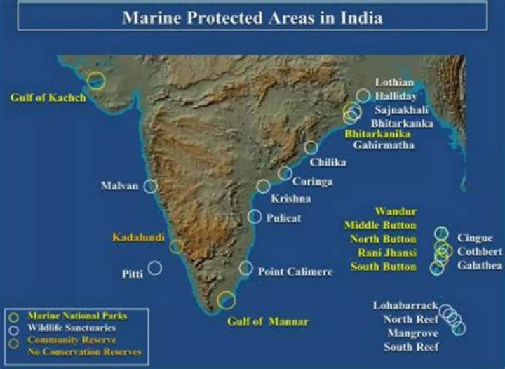 How many marine protected areas are there in India?