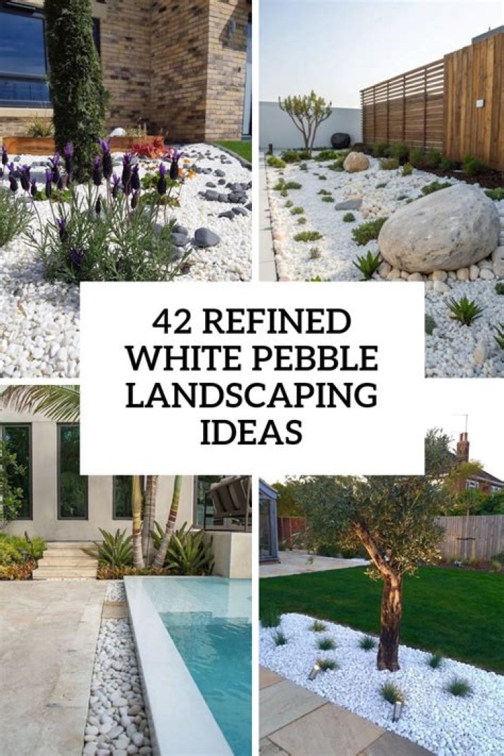 How much are white pebbles?