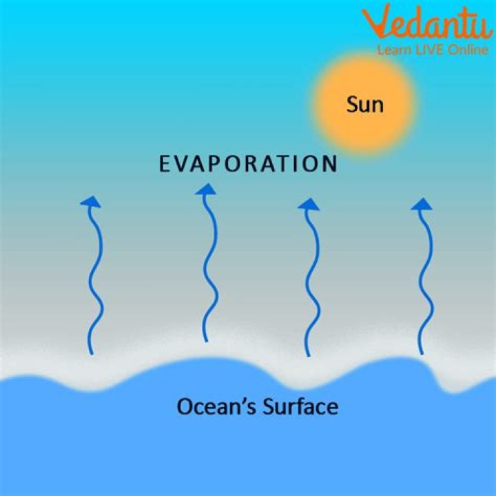 How much water evaporates from the ocean each year?