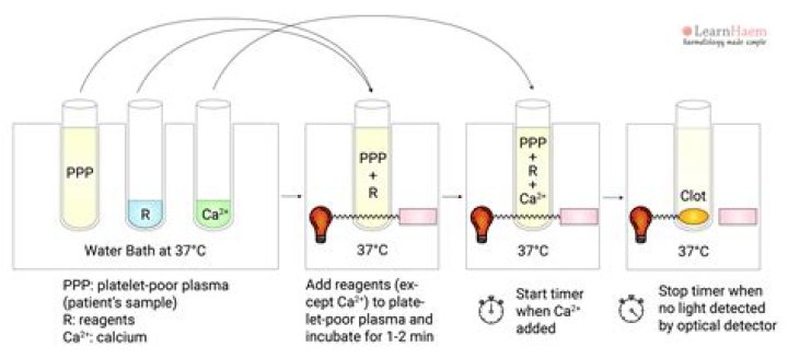 Is PT PTT the same as INR?