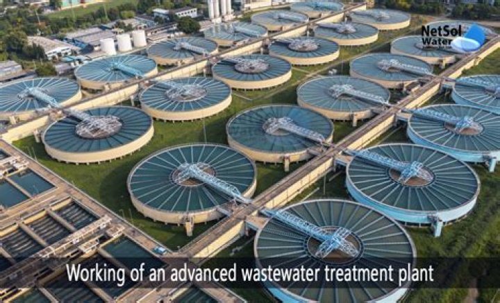 What archaea is used in wastewater treatment?