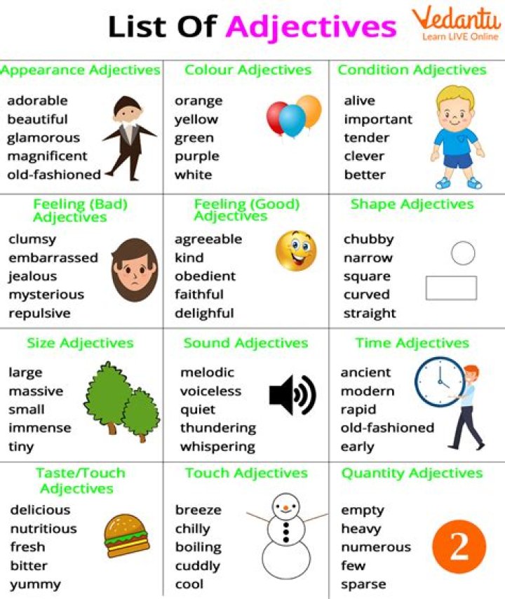 What are some examples of didactic?