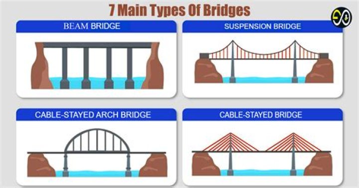 What are the 4 main types of shells?