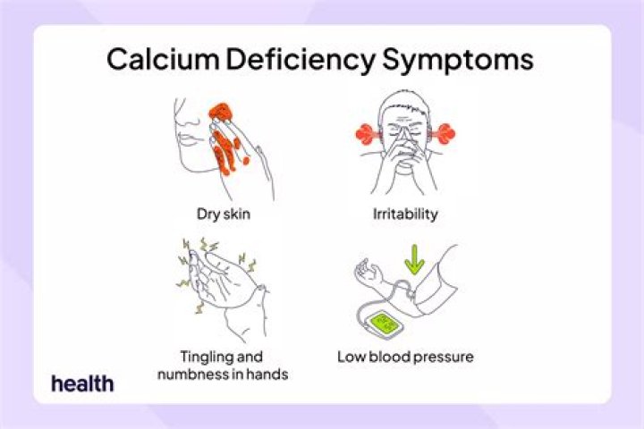 What are the benefits of Calcimax?