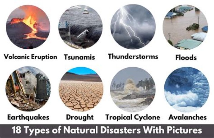 What are the different types of environmental disasters?