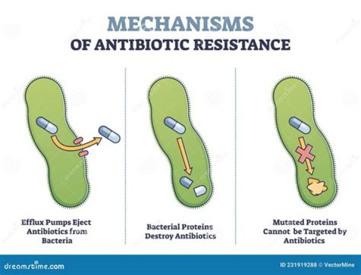 What are the three mechanisms of antibiotic resistance?