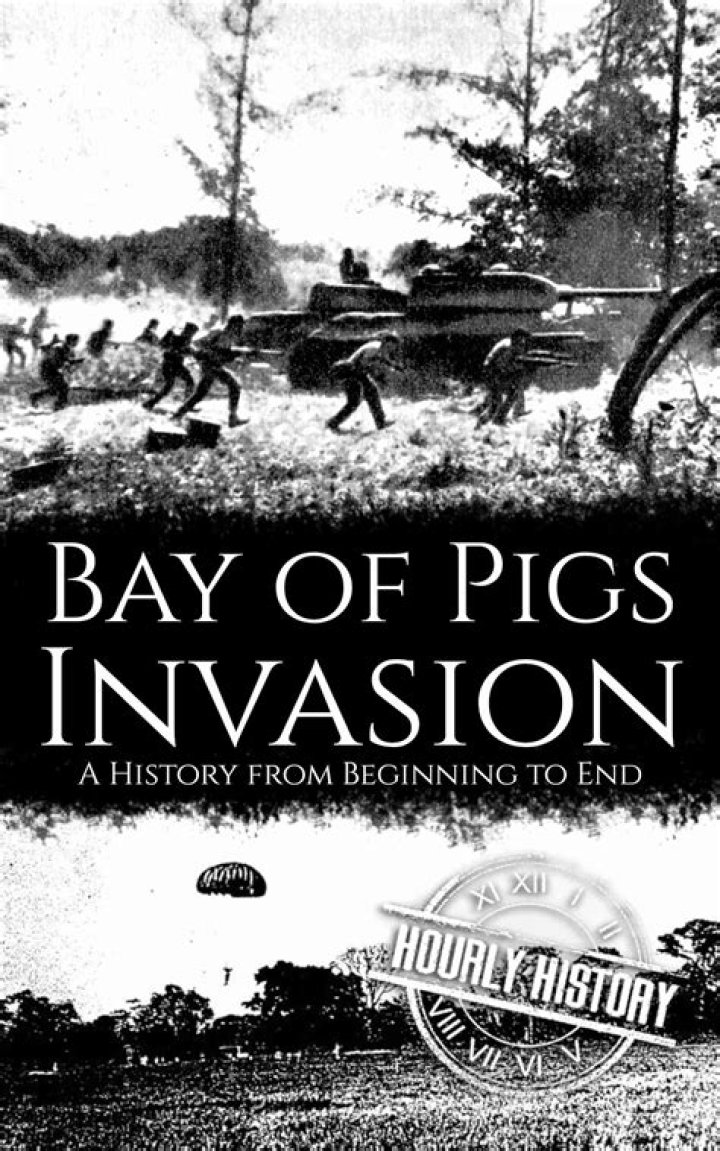 What caused the Bay of Pigs?