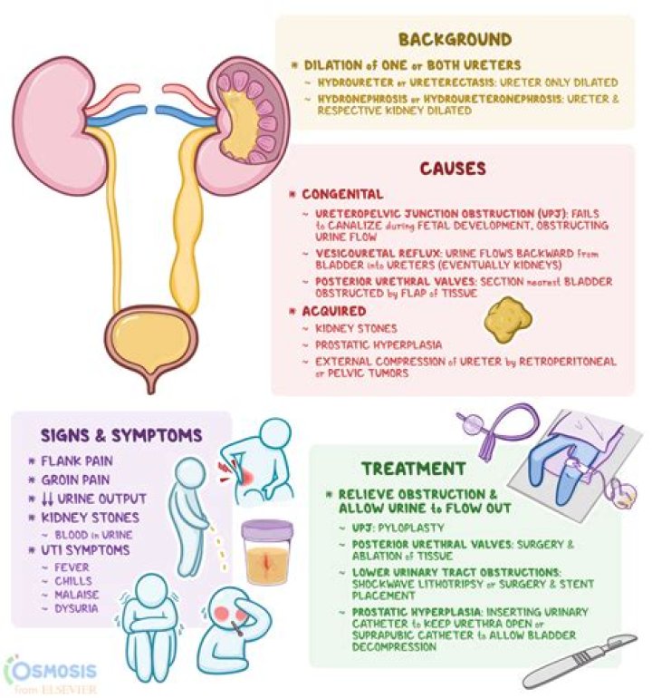 What causes urine blockage in males?