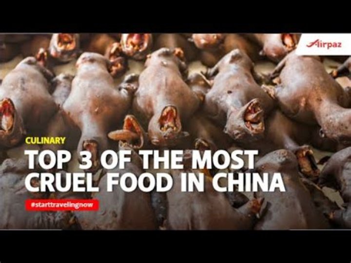 What country eats monkey brains?