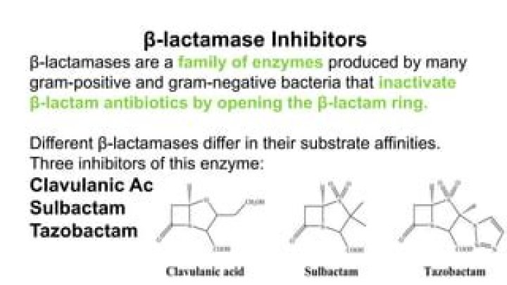 What do clavulanic acid sulbactam and tazobactam have in common?