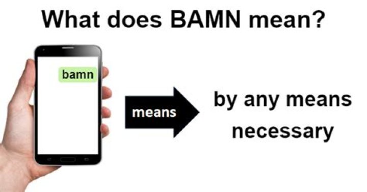 What does BAMN Mean?