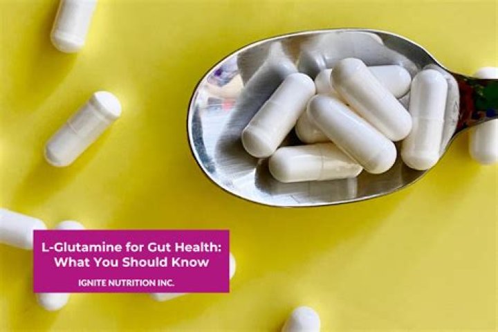 What does glutamine do for recovery?