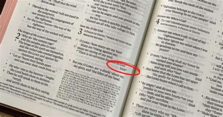 What does Intermeddle mean in the Bible?