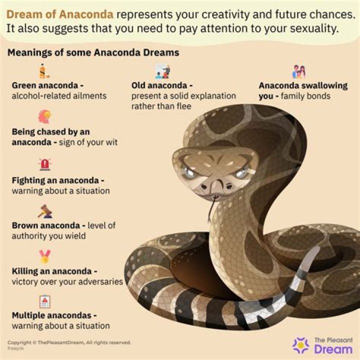 What does it mean to dream of snakes and crocodiles?