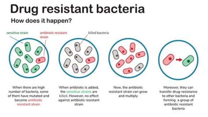 What does nitrate do to bacteria?