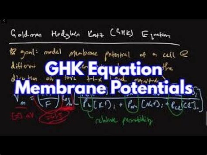 What does the GHK equation calculate?