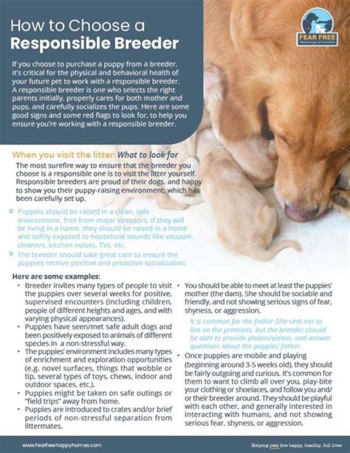 What information should a dog breeder provide?