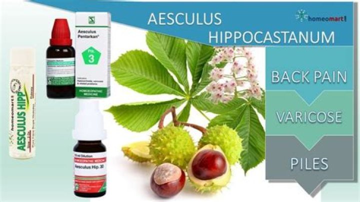What is Aesculus used for in homeopathy?