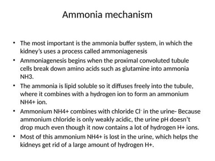 What is Ammoniagenesis in acidosis?
