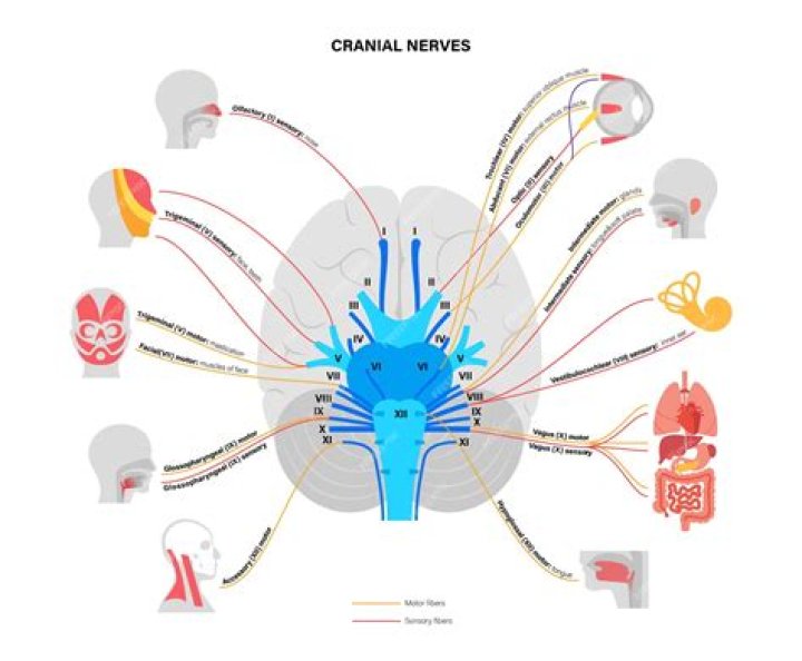 What is an ataque de nervios?