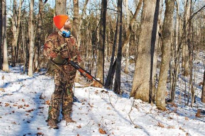 What is considered small game hunting in Michigan?
