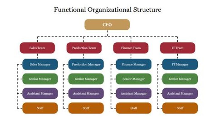 What is functional organizational structure?