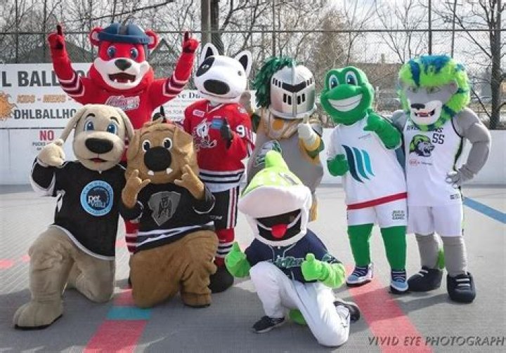 What is IVC mascot?