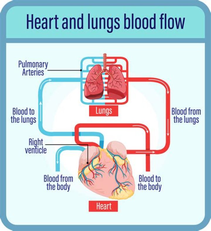 What is the flow path?