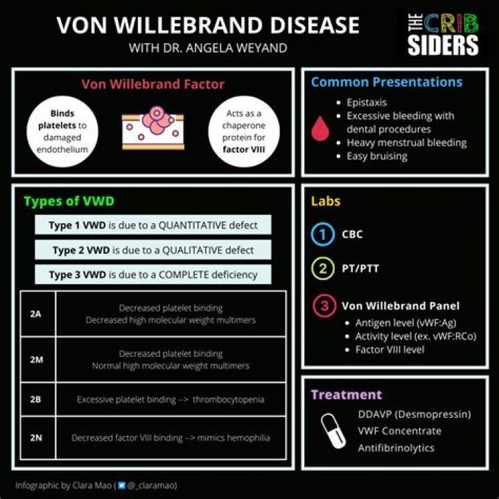 What is von Willebrand type 1?