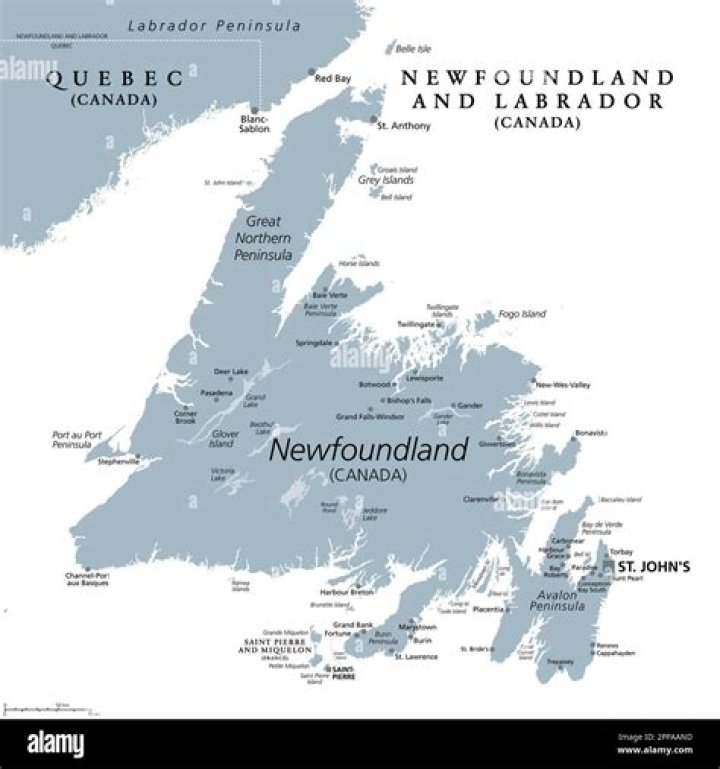 What was the Newfoundland Regiment known for?