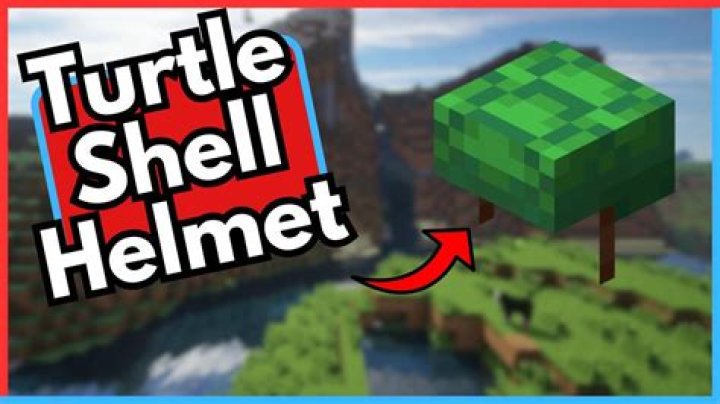 Where can I get a turtle shell in FF8?