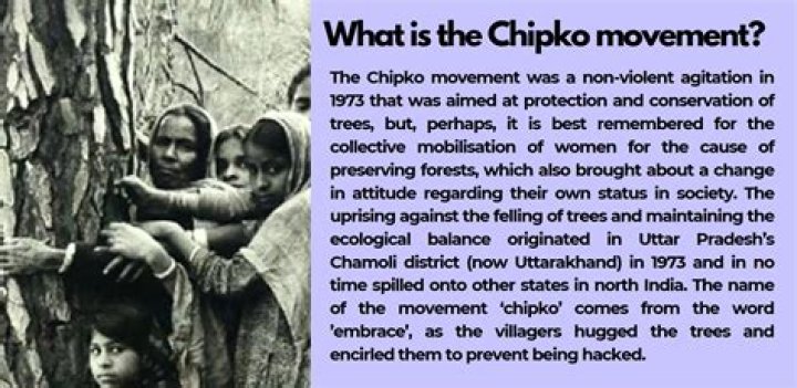 Where does Chipko movement take place?
