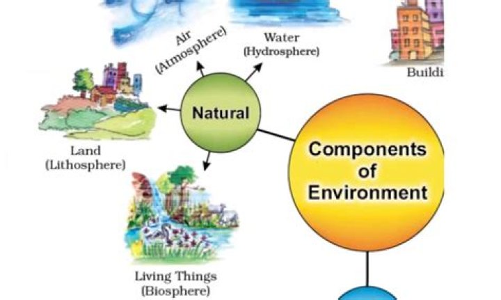 Which is more important environment or development?