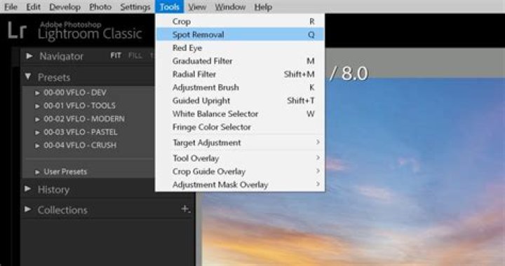 Who is the best Lightroom editor?