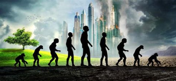 Will humans voluntarily go extinct?